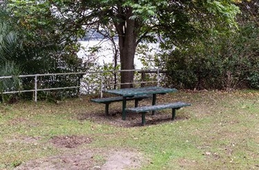 Picnic setting