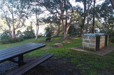 picnic seating and BBQ