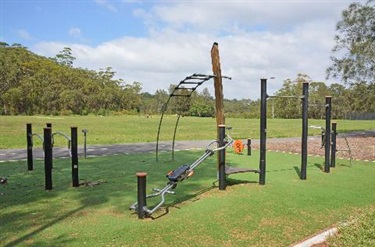 Adult fitness equipment