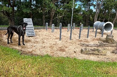 Dog Park Facilities