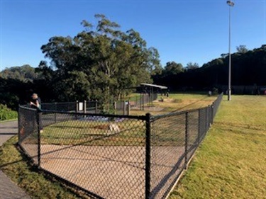 Dog Park