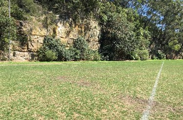 Sports field