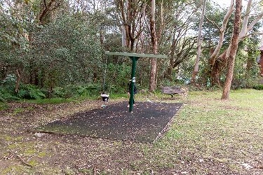 swings
