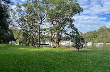 Park and river