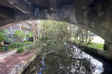 Bridge