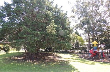 Park view