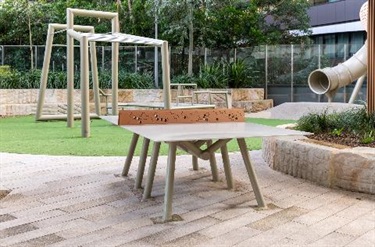 Ping pong table