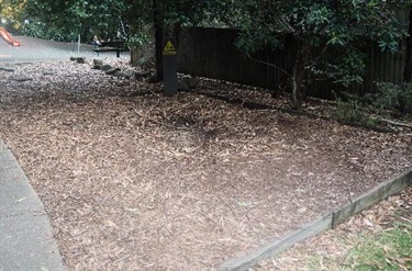 Dinosaur Dig