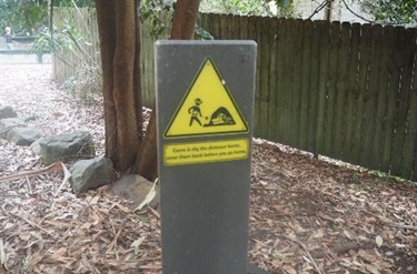 Dinosaur dig information