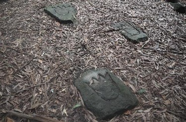 Dinosaur tracks