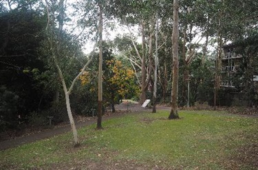 Park view