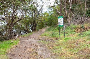 Bushwalk track