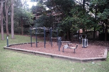 Adult fitness equipment