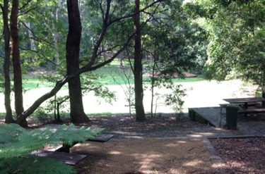 Picnic Area