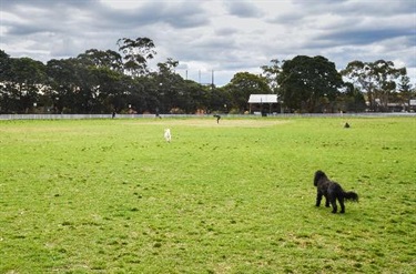 sport field
