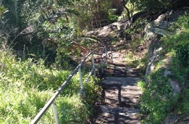 Lemon Reserve walking track