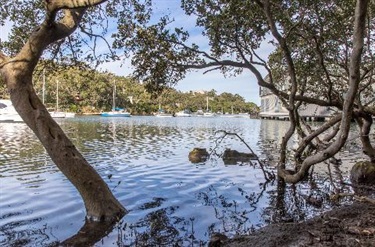 Water view