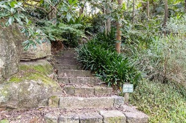 Bushwalk track