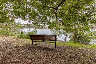 bench