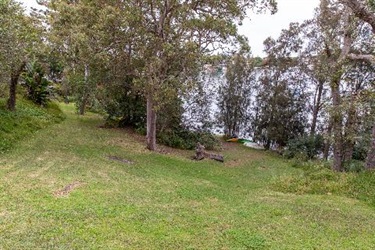 open grass area