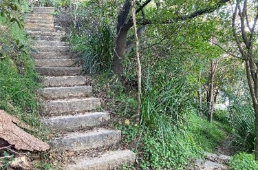 steps to lookout