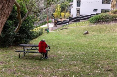 Picnic Seat