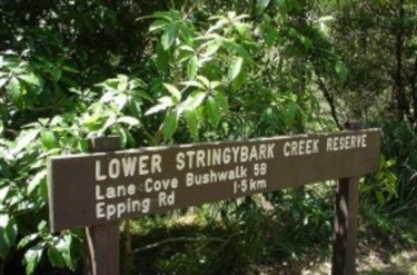 Bushwalking information