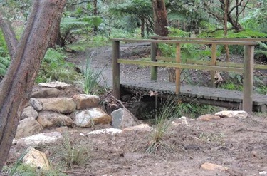 Bushwalk track
