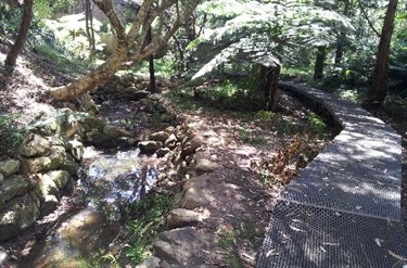 Bushwalk track