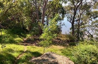Bushland