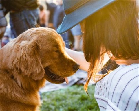 side profile of dog and woman looking at each other 