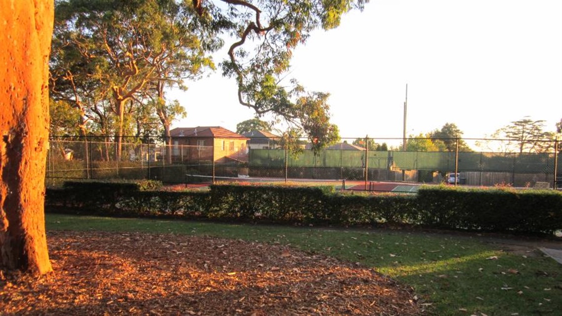 Central park with a view of the tennis club