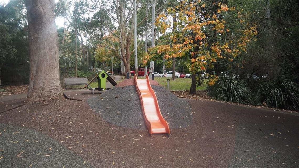 Goodlet Reserve Play equipment