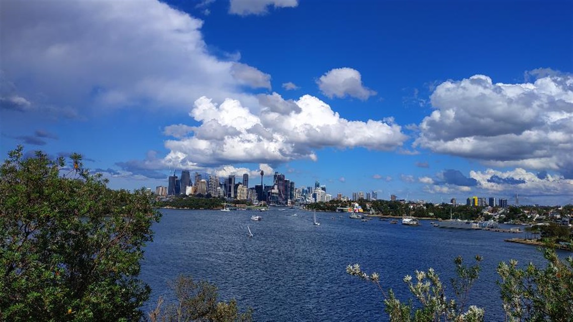 View of the water from Manns Point Park