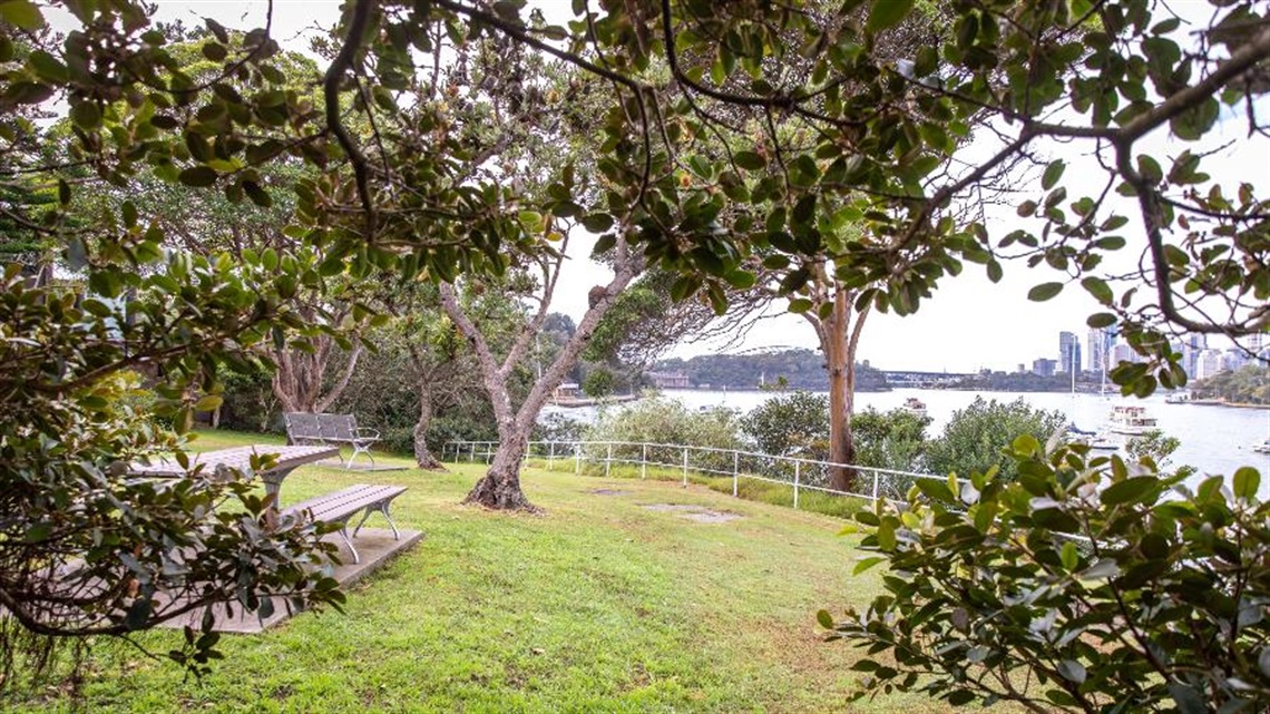 Mary Carlson Park