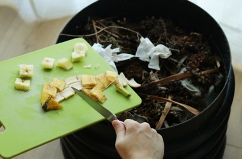 Compost.jpg