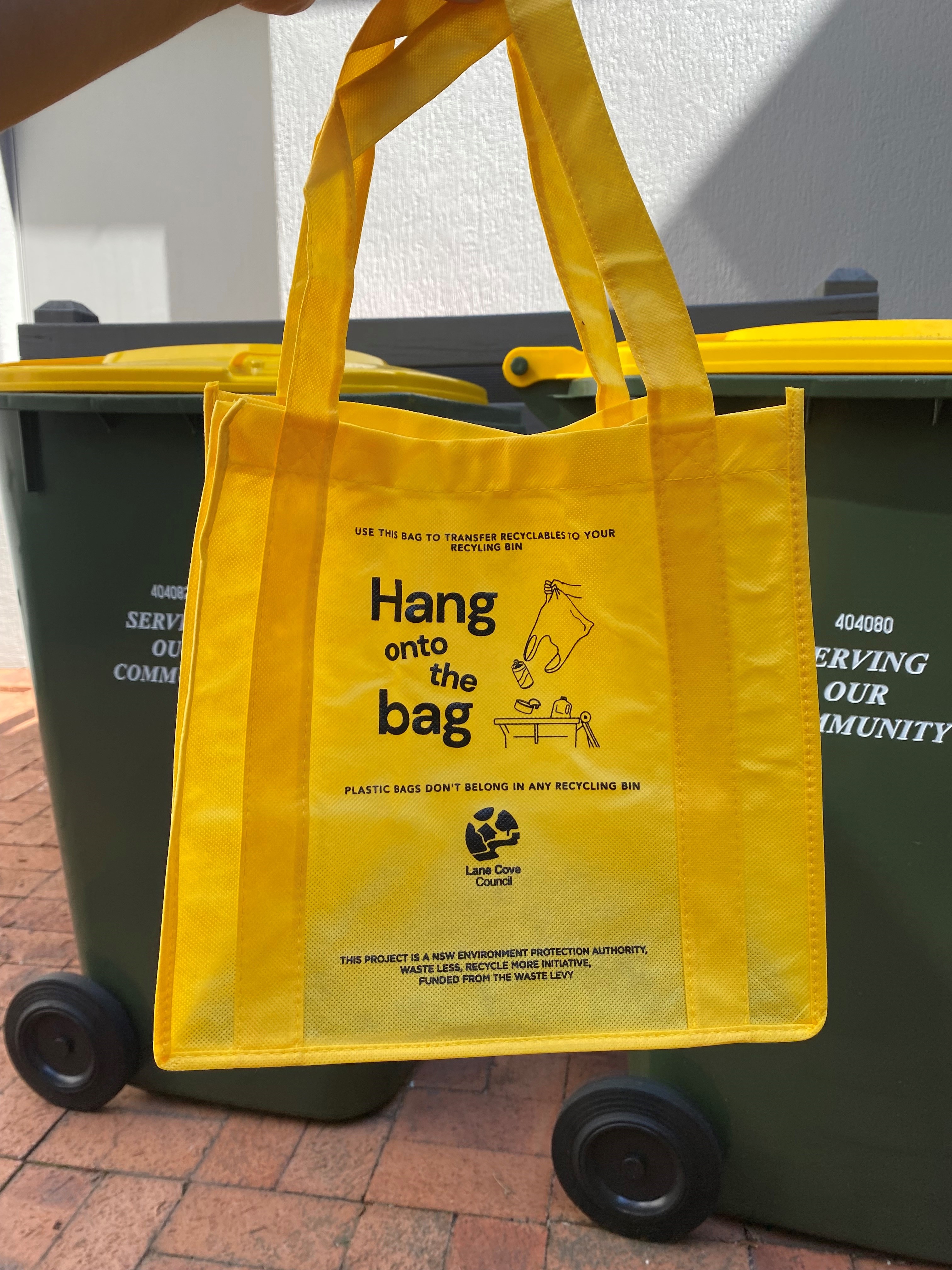 hang onto the bag website photo.jpg