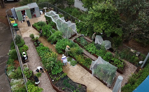Hughes park community garden.jpg