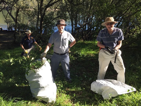 Volunteers on river foreshore removing weeds
