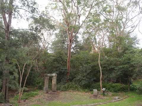 Amphitheatre and bushland scenery