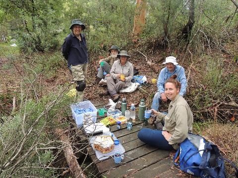 Morning tea in the bush