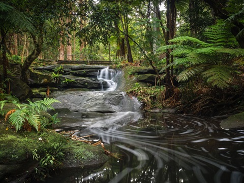 Creek and waterfall in Greendale Park