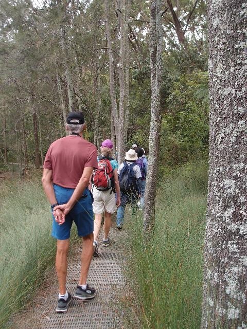 Walking on boardwalks in Ventemans Reach