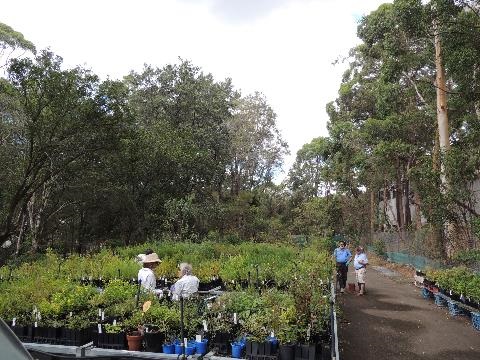 Overview of Nursery site