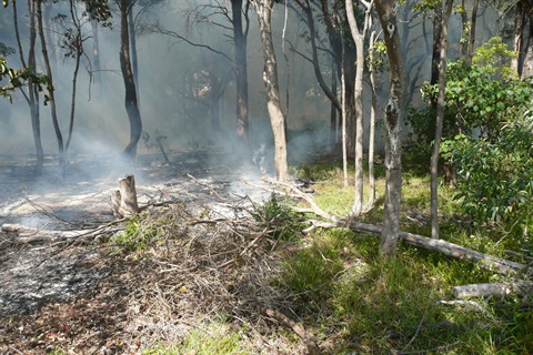 Bushfire protection rules.JPG