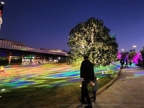 The Canopy Winter Festival Light Show