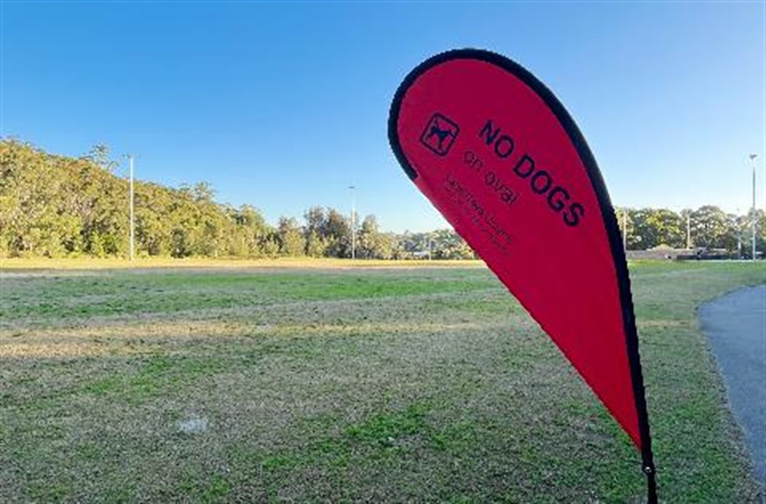 Flag system Lane Cove Council