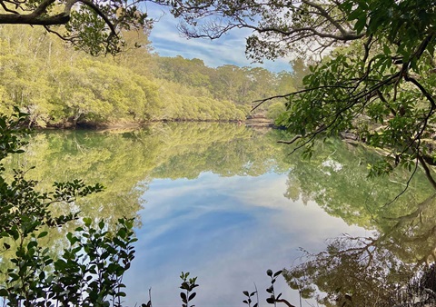 Isabelle Kremer isabelle.kremer@gmail.com Reflections on Lane Cove River Blackman Park.jpg