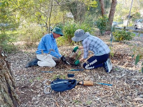 Two people are in the dirt planting a seedling for National Tree Day. 