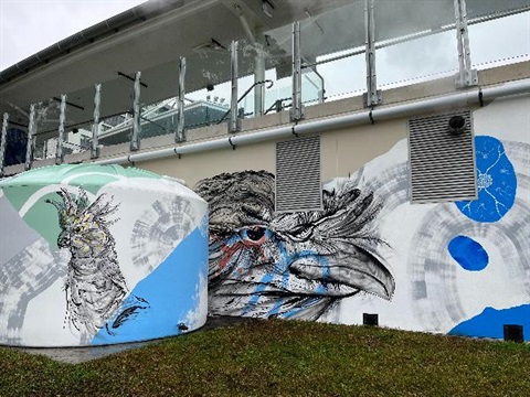 Artwork on back of Aquatic Centre wall. The artwork includes a cockatoo and tawny frogmouth.